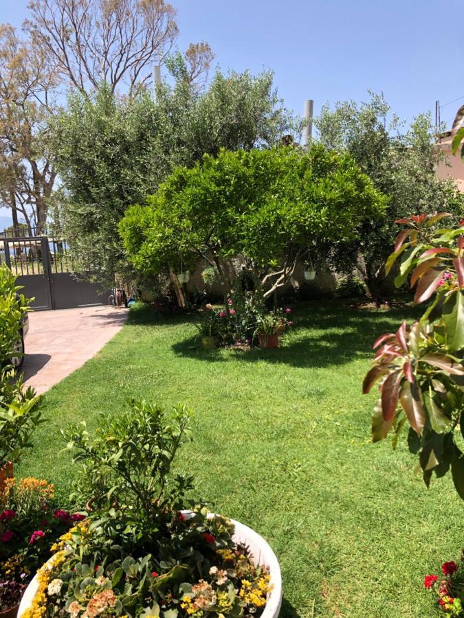 Olive House. Hotel Vlorë Eksteriør billede